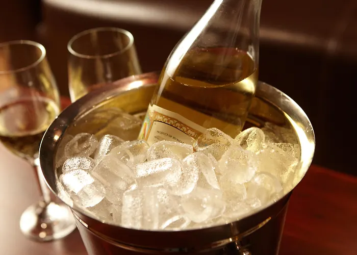 巴托丽酒店 酒店