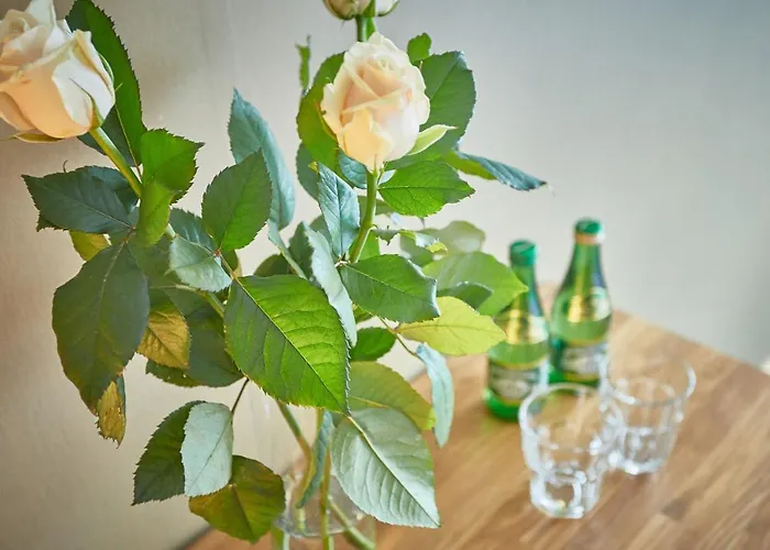 巴托丽酒店 酒店 3*